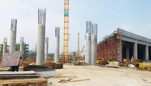 山東日京建材解讀木制圓柱模板行業(yè)發(fā)展趨勢與計算機(jī)系統(tǒng)服務(wù)的融合